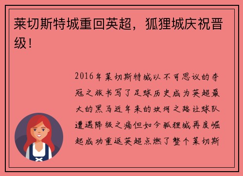 莱切斯特城重回英超，狐狸城庆祝晋级！